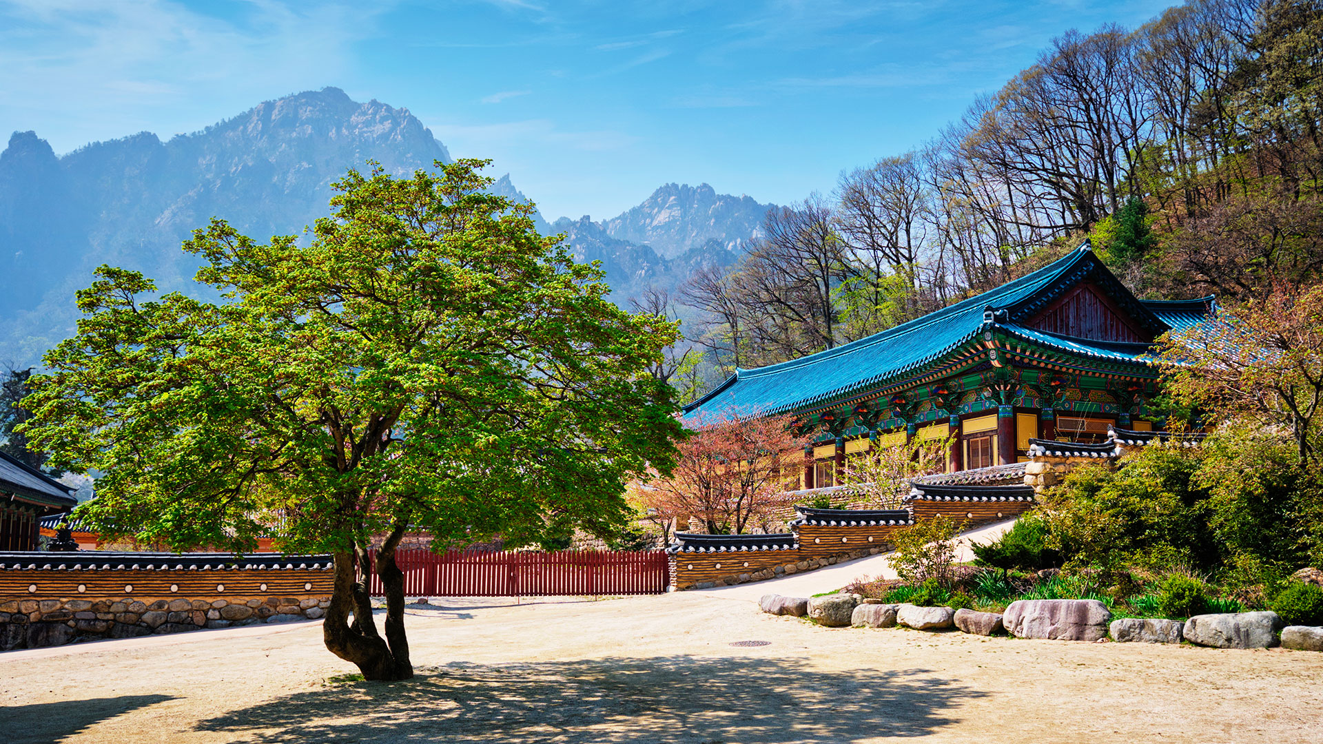 South Korea With Paradise Unexplored