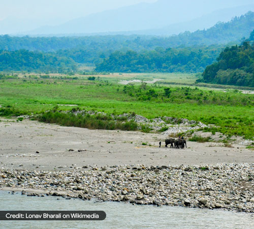 Assam (Manas National park) Tour