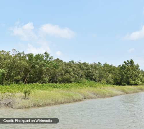 Sundarbans 3 Days Tour