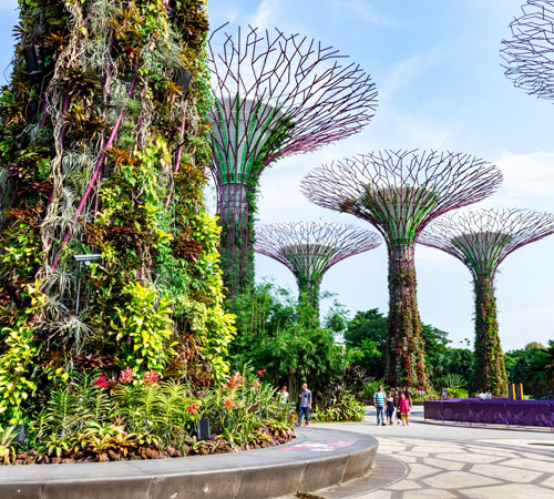 Gardens by the Bay