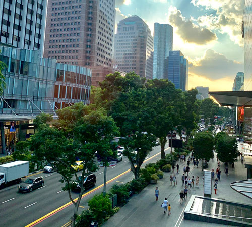 Orchard Road